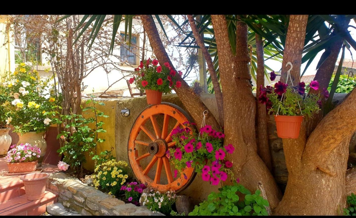 مبيت وإفطار Armungia Su Carreri المظهر الخارجي الصورة